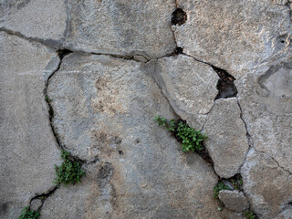 broken cement wall detail texture with many cracks