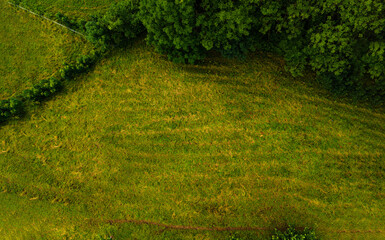 Background of grass and pasture shot from above with a drone. Background with copy space!