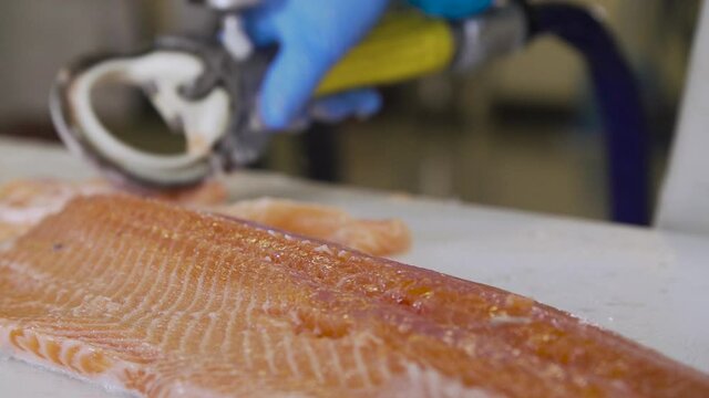 very close-up of cutting the peritoneum of a salmon fillet with an electric device in a workshop