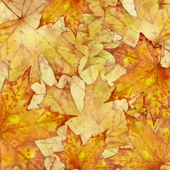Naklejka na ściany i meble Colorful background of maple leaves in yellow and orange shades. Autumn leaves painted in watercolor. Exquisite autumn background for design and creativity.