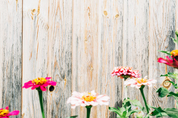 Wooden wall with flowers in the garden