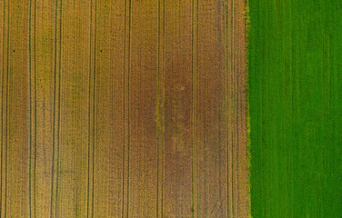 Background of grass and pasture shot from above with a drone. Background with copy space!