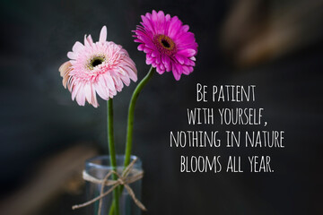 Inspirational quote - Be patient with yourself, nothing in nature blooms all year. With background of two beautiful pink gerbera daisies flower. Life process and positive improvements concept. - obrazy, fototapety, plakaty