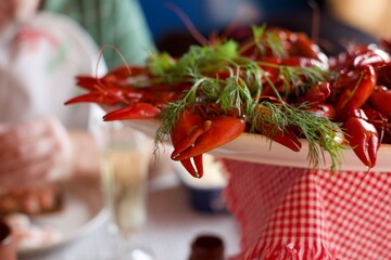 crayfish or crawfish party platter with fresh dill