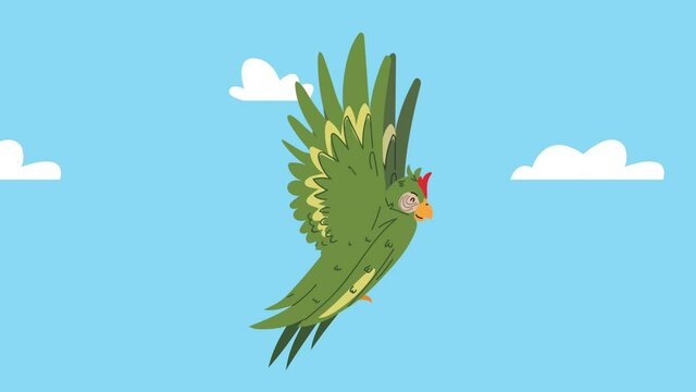 cute parrot flying exotic bird animation