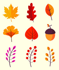set of autumn leaves fall leaves collection simple illustration