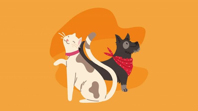 dog and cat mascots animation