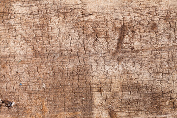 Background texture old  wooden board.
