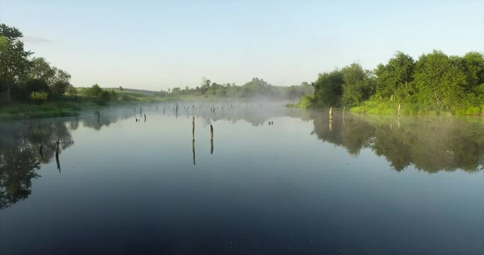 Swampy lake with died trees, dry forest. Mystic swamp place with fog from adove water at summer sunny sunrise