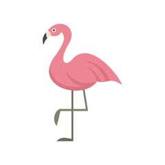 Flamingo bird icon flat isolated vector