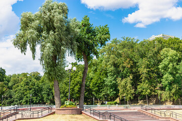 Fototapeta na wymiar Big weeping willow tree, also known as Babylonian willow in a city park on the wonders of the sky - Gomel, Belarus.