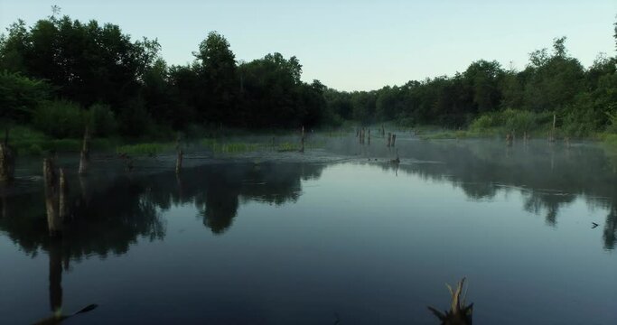 Swampy lake with died trees, dry forest. Mystic swamp place with fog from adove water at summer sunny sunrise