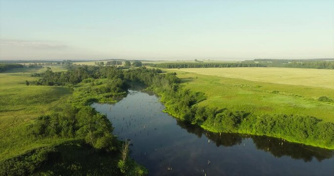 Swampy lake with died trees, dry forest. Mystic swamp place with fog from adove water at summer sunny sunrise