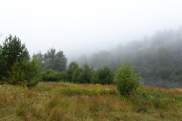 Fototapeta na wymiar morning fog on the banks of a river
