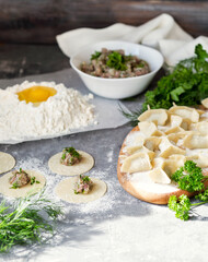 Cooking dumplings with meat and herbs. Ravioli dough on a gray background. Prepare a delicious lunch