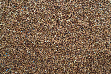 Pile of buckwheat isolated on white background. Top view. Buckwheat. Buckwheat grains. Grain culture.