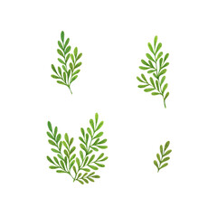 Green leaves set, simple hand drawn watercolor botanical floral illustration for any design purposes can be used for different decor, greeting cards, wedding invitations, menu, banner