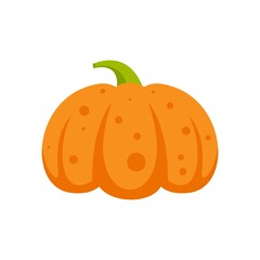 Decorative pumpkin icon flat isolated vector