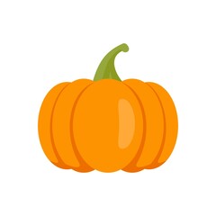 Decoration pumpkin icon flat isolated vector