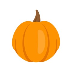 Garden pumpkin icon flat isolated vector