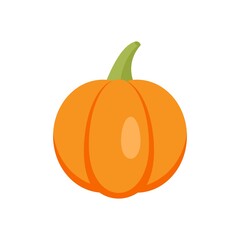 Agriculture pumpkin icon flat isolated vector