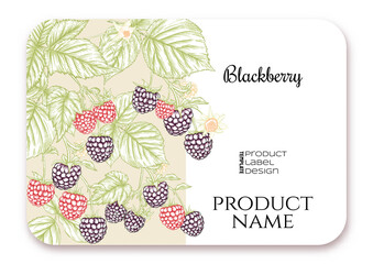 Blackberry. Ripe berries on branch. Template for product label, cosmetic packaging. Easy to edit. Graphic drawing, engraving style. Vector illustration..