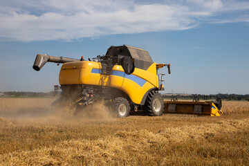 Obraz premium Combine harvester harvests wheat.