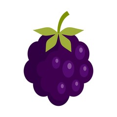 Forest blackberry icon flat isolated vector