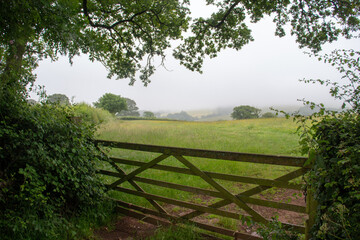 Fototapeta na wymiar bucolic Devon countryside of green fields for hay and a cloudy blue sky and mist and a farm gate