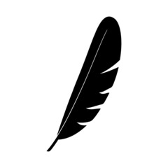 The silhouette of a light and elegant bird's feather on a white background.