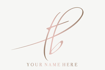 TB monogram logo.Calligraphic signature icon.Letter t and letter b.Lettering sign isolated on light fund.Wedding, fashion, beauty alphabet initials.Elegant, luxury, handwritten style.