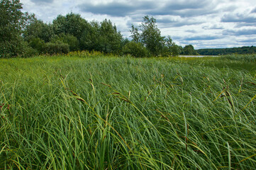 Kenozersky National Park