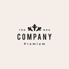clove dried flower buds hipster vintage logo vector icon illustration
