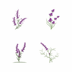 Lavender Logo Template vector symbol nature