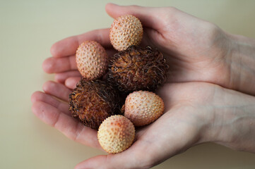 Female hands are holding exotic ripe rambutan and leechy or lychee fruits. Healthy food, fresh organic fruit.