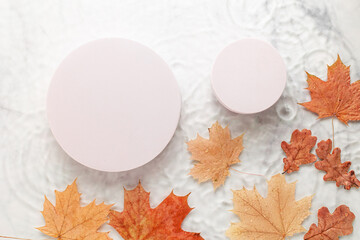 Minimal cosmetic background with autumn leaves. White round podiums on blurred transparent clear...