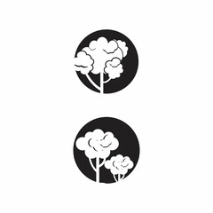 pine evergreen fir hemlock spruce conifer cedar Christmas tree Logo design vector