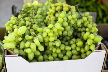 Fresh fruit brunch green grapes in paper boxes at grocery store, local products