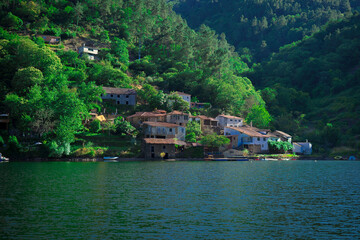 Fototapeta na wymiar Casas a pie del cerro en el Rio Miño, Galicia. 