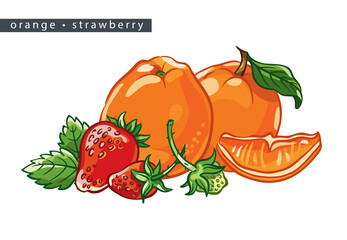 sketch_orange_strawberry_two_fruits_slice_berries_and_leaves