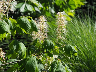 Freizeitzentrum Finkenrech bei Dirmingen im Kreis Neunkirchen im Saarland