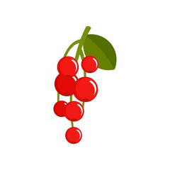 Redcurrant berry icon flat isolated vector