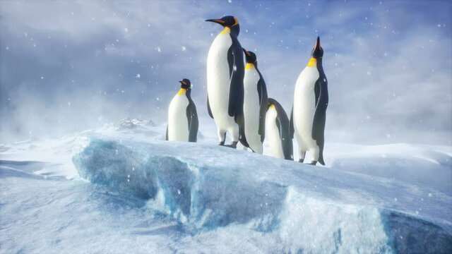 Emperor penguins stand in the middle of a snow-covered iceberg enjoying a winter morning. Huge high glaciers in winter natural conditions. The animation is perfect for natural and animal backgrounds.