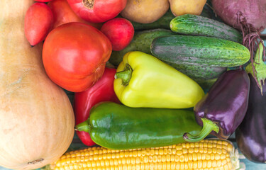 Assortment of fresh organic farm vegetables on a painted blue wooden backgroundt