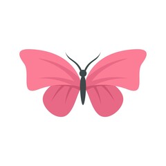 Flying butterfly icon flat isolated vector