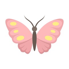 Kid butterfly icon flat isolated vector