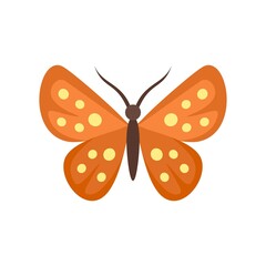 Garden butterfly icon flat isolated vector