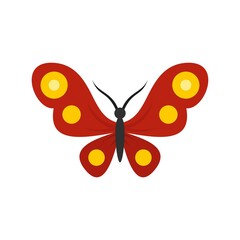 Abstract butterfly icon flat isolated vector
