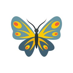 Summer butterfly icon flat isolated vector