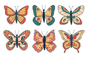 Collection of different beautiful butterflies. Vector illustration isolated on white background.